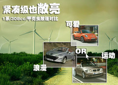 2011款 120i 2.0L 双门轿跑车
