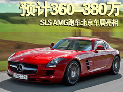 奔驰(进口) AMG