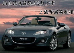 2004款 1.3 自动 