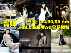 2004款 1.3 自动 