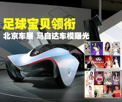 2004款 1.3 自动 