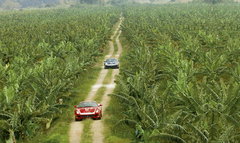 2005款 5.7 AMT Scaglietti