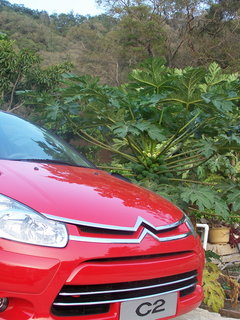 2006款 1.6L SX 自動(dòng) 