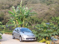 2006款 1.6L SX 自动 