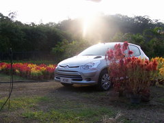 2006款 1.6L SX 自动 