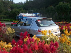 2006款 1.6L SX 自动 