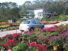 2006款 1.6L SX 自动 