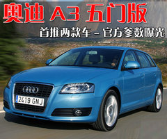 2010款 Sportback 1.8T 豪华型