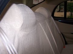 2008款 1.8T 自动 尊贵型