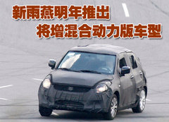 2010款 1.5L 自动 冠军限量版
