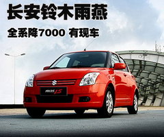 2010款 1.5L 自动 冠军限量版