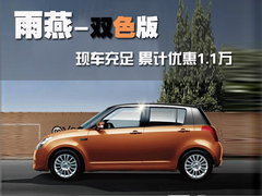 2010款 1.5L 自动 冠军限量版