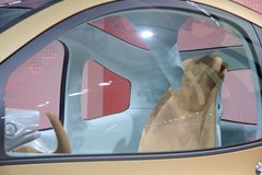 2005款 3.5L 自动 7座