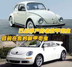 大众(进口) 甲壳虫beetle
