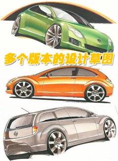 大众(进口) 甲壳虫beetle