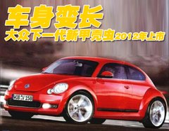 大众(进口) 甲壳虫beetle