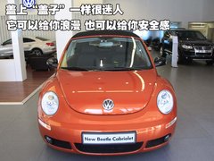 大众(进口) 甲壳虫beetle