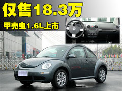 大众(进口) 甲壳虫beetle
