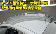 大众(进口) 甲壳虫beetle