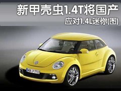 2010款 1.6L 自動 