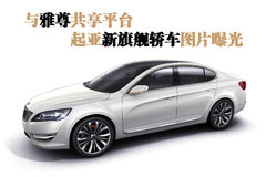 2009款 3.3L 自动 豪华型