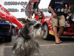 2007款 1.6L 自动 运动版