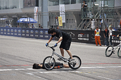2008款 劲取 1.6L 自动 雅尊版