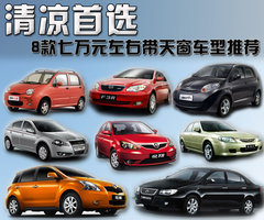 2007款 1.1L 手动 豪华型