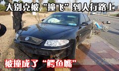 2009款 4.3L Scuderia Coupe