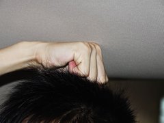 2006款 2.7L 自动 舒适版 7座