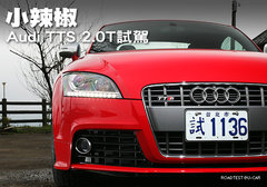 2010款 2.0 TFSI Roadster