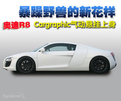 2007款 4.2 FSI quattro 