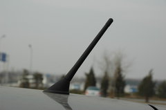 2010款 1.5L 手动 冠军版 精英型