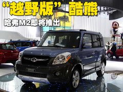 2009款 1.5 手动 精英型