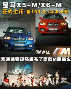 2010款 X5 4.4T M运动套件 5座