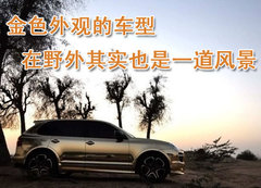2009款 Cayenne 4.8L S Transsyberia