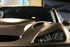 2009款 Cayenne 4.8L S Transsyberia