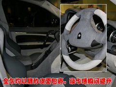 2009款 Cayenne 4.8L S Transsyberia