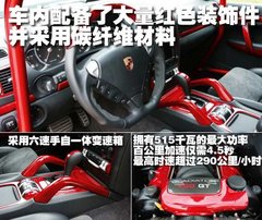 2009款 Cayenne 4.8L S Transsyberia