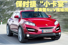 2009款 Cayenne 4.8L S Transsyberia