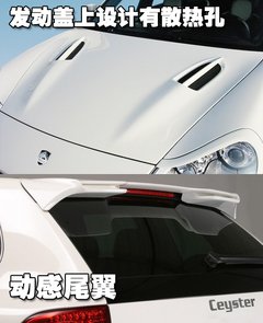 2009款 Cayenne 4.8L S Transsyberia