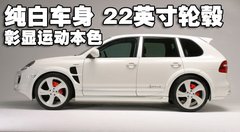 2009款 Cayenne 4.8L S Transsyberia