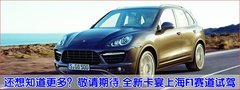 2009款 Cayenne 4.8L S Transsyberia