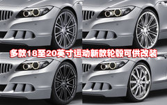 2010款 3.0T sDrive35i豪华型