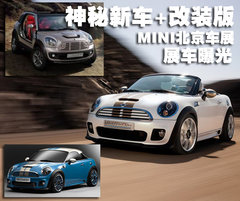 2007款 COOPER 1.6 AT FUN