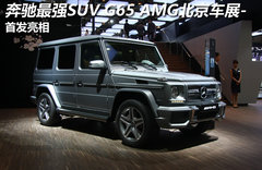 2009款 G55 5.5T AMG 5座