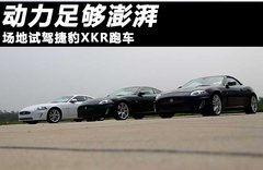 2009款 5.0 自动 V8机械增压敞篷跑车