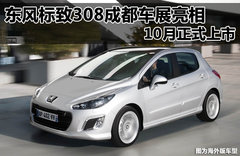 2010款 两厢 2.0L 自动 运动版