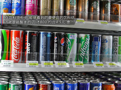 2009款 1.6L 自动 劲享版