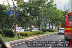 2009款 1.6L 自动 劲享版